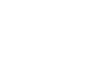 SECUBE LOGO-08